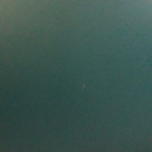 Meet your Posher, Clara nohemy